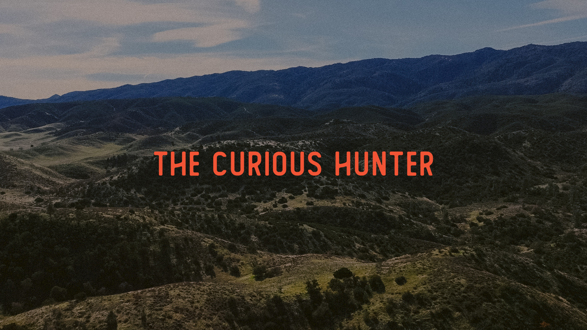 The Curious Hunter